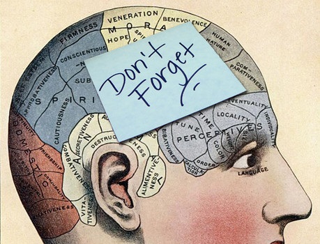 Image showing how different look in a healthy brain.